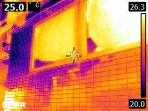 赤外線カメラによる調査２