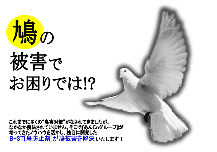 業務案内 鳩害対策 防水 防鳩 防食工事のことならお任せ下さい 株式会社明防